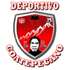 https://img.lwsy8.com/img/football/team/8dae401493177b32ed12597c1d28f77a.png