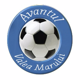 https://img.lwsy8.com/img/football/team/8e77dbd00fe087d673a77eaedcaafdc3.png